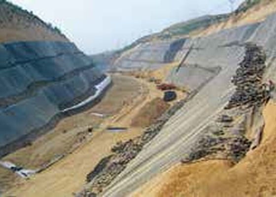 8m Geomembrane Tahan Air PE TPO EVA PVC Lembar Garis Ekstrusi