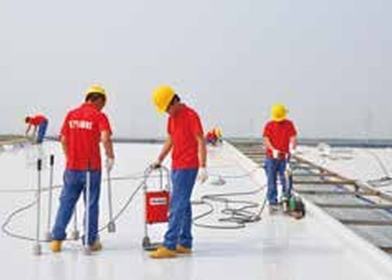 Waterproof PVC EVA PE TPO Lembar Garis Ekstrusi